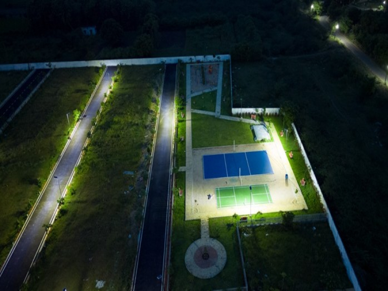 Urban Tree Jade Jubilance