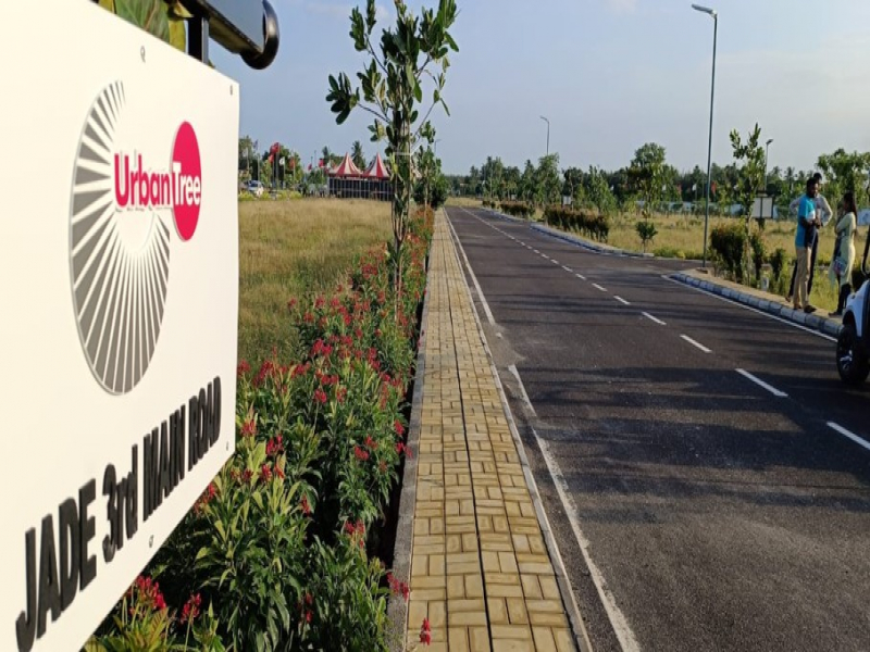 Urban Tree Jade Jubilance