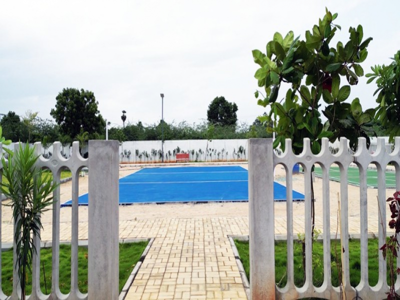 Urban Tree Jade Jubilance