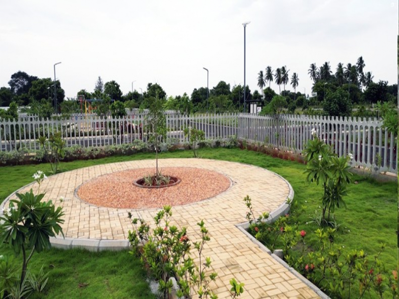 Urban Tree Jade Jubilance