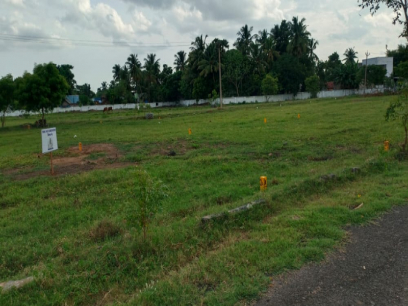 KMS Vrindavan Nagar