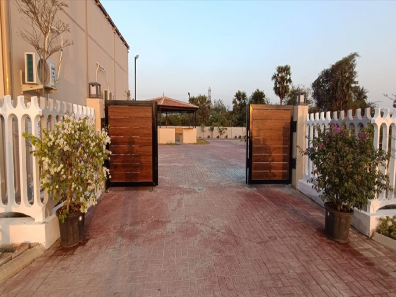 Urban Tree Crystal Crown