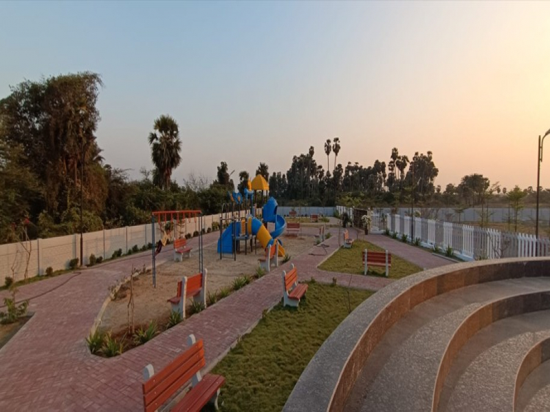 Urban Tree Crystal Crown