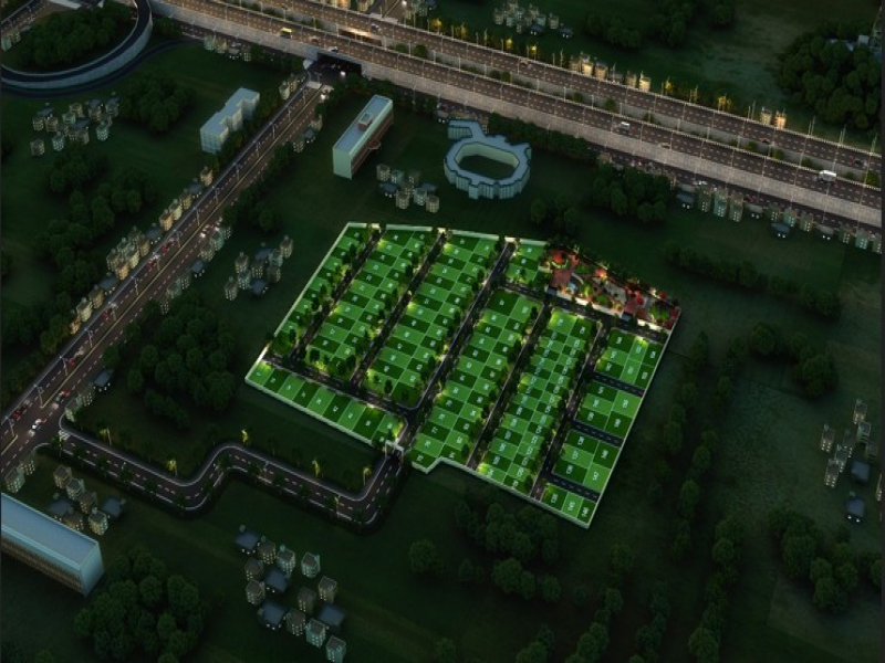 Urban Tree Crystal Crown