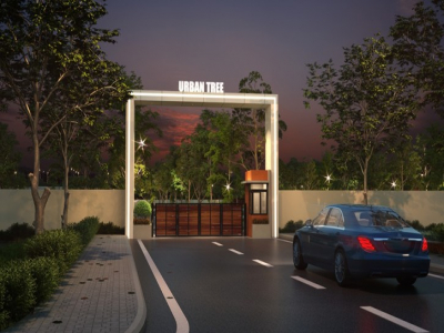 Urban Tree Crystal Crown