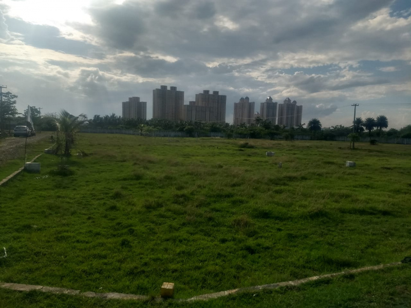 Ekansha Avenue