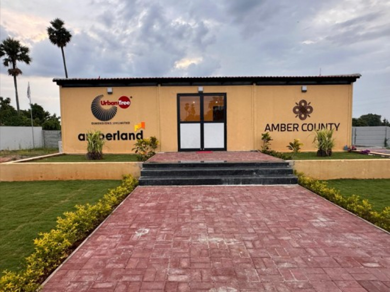 Urban Tree Amber County