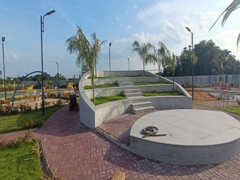 Urban Tree Amber County