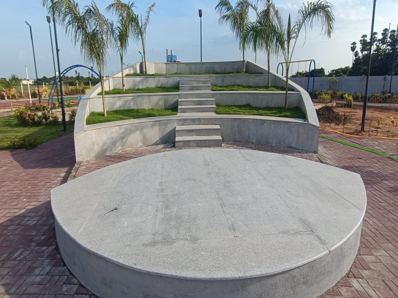 Urban Tree Amber County