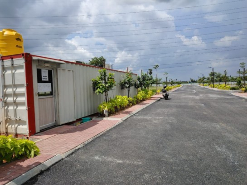 Urban Tree Sunstone Gardens