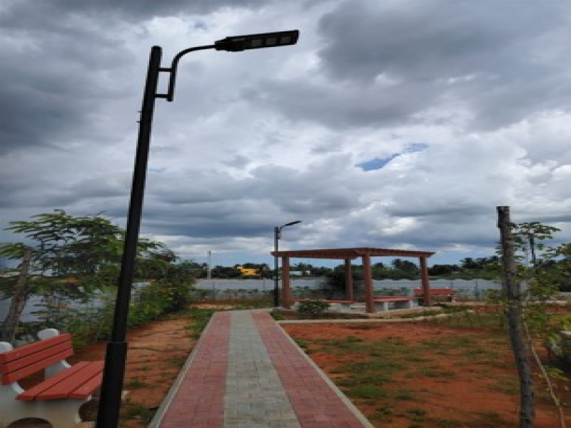 Urban Tree Sunstone Gardens