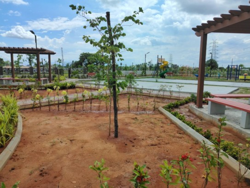 Urban Tree Sunstone Gardens