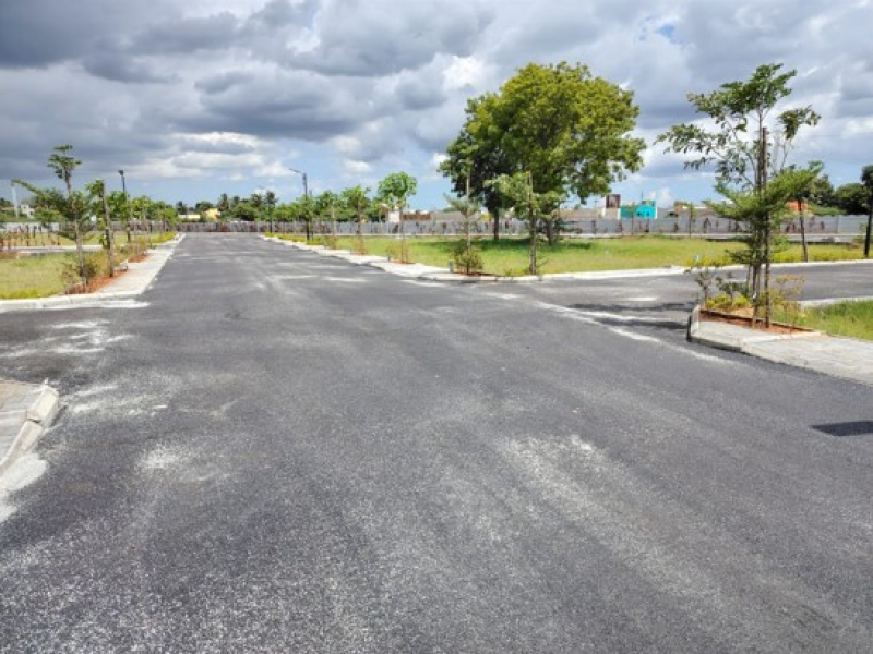 Urban Tree Sunstone Gardens