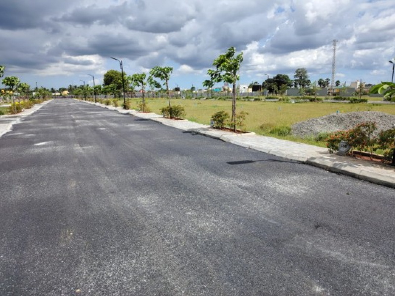 Urban Tree Sunstone Gardens