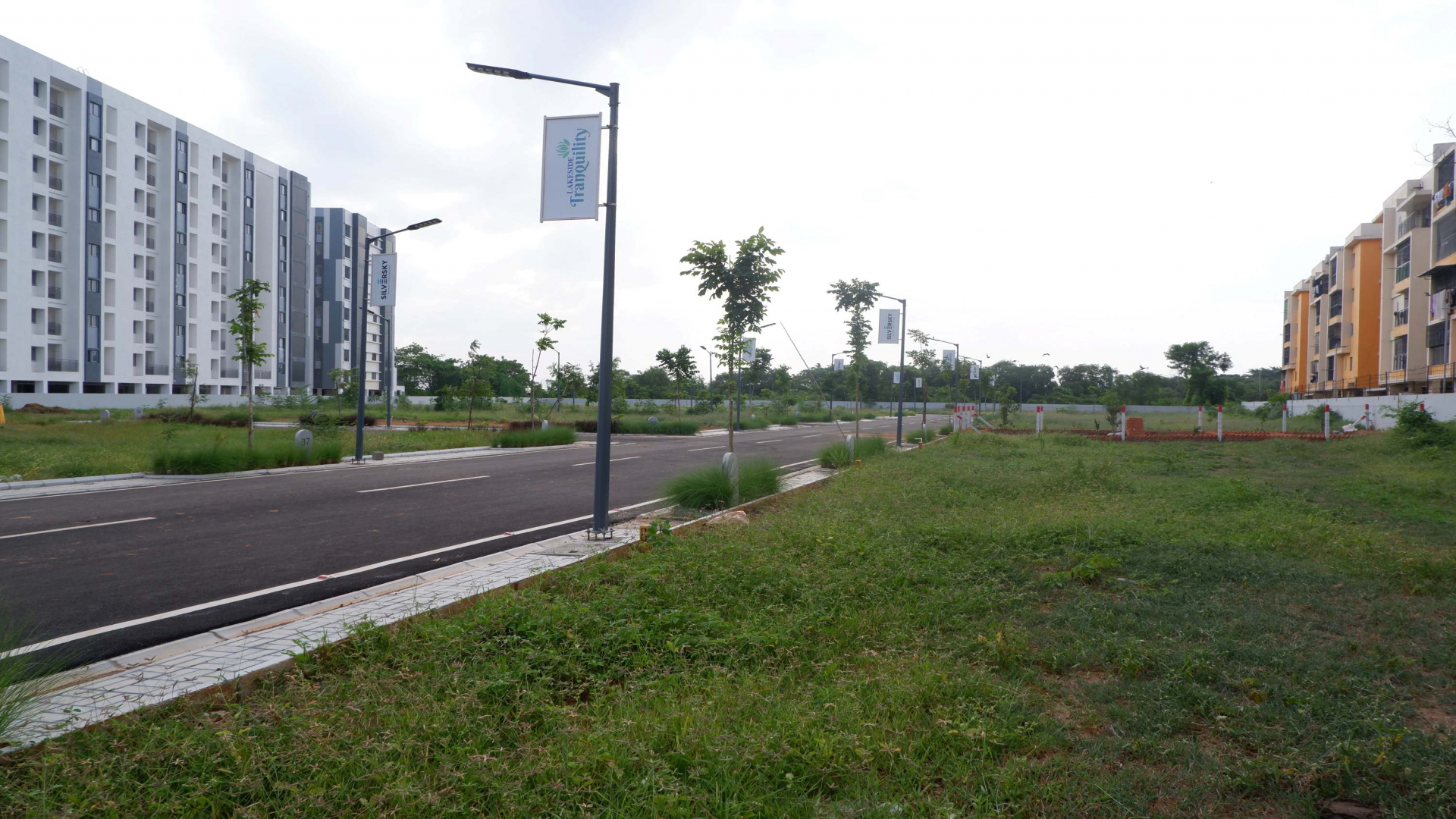 Lakeside Tranquility