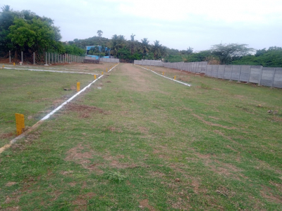 646 -  Sqft Land for sale in Mangals Green Paradise