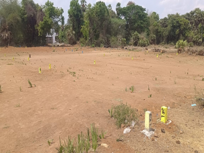 1000 - 1500 Sqft Land for sale in Niranjan Sangeetha Nagar