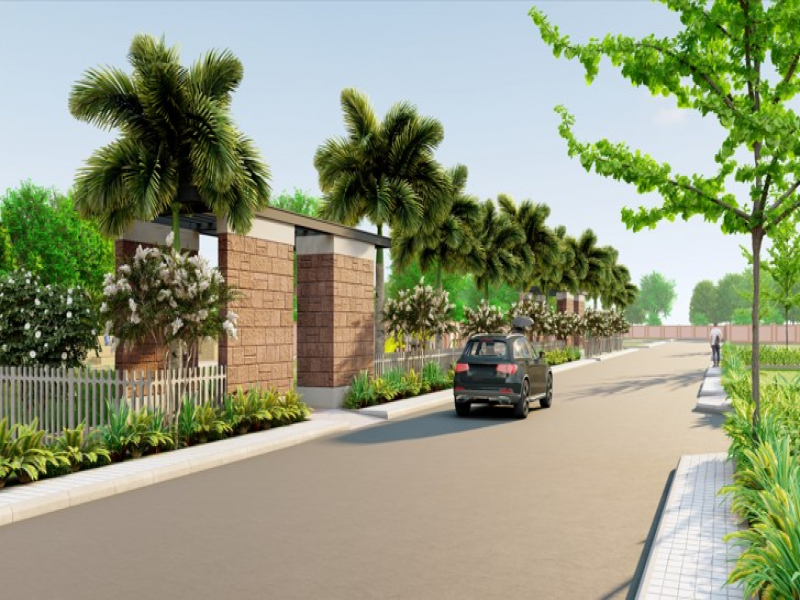 Urban Tree Diamond Kingdom