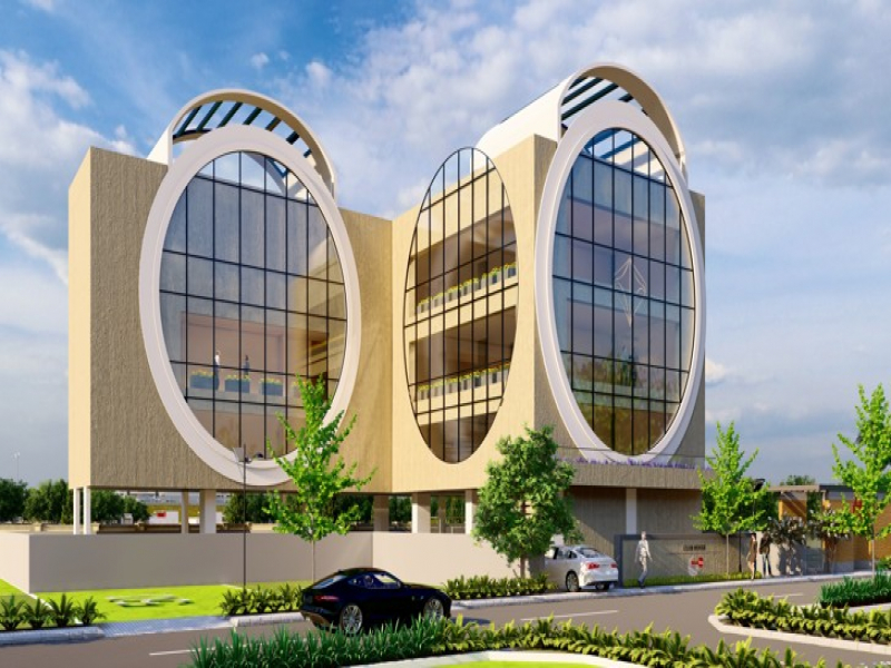 Urban Tree Diamond Kingdom