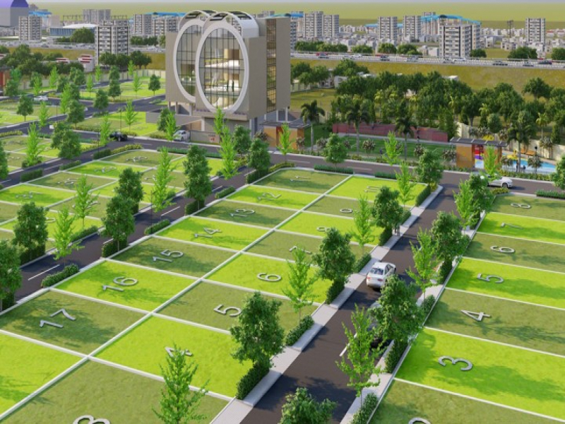 Urban Tree Diamond Kingdom