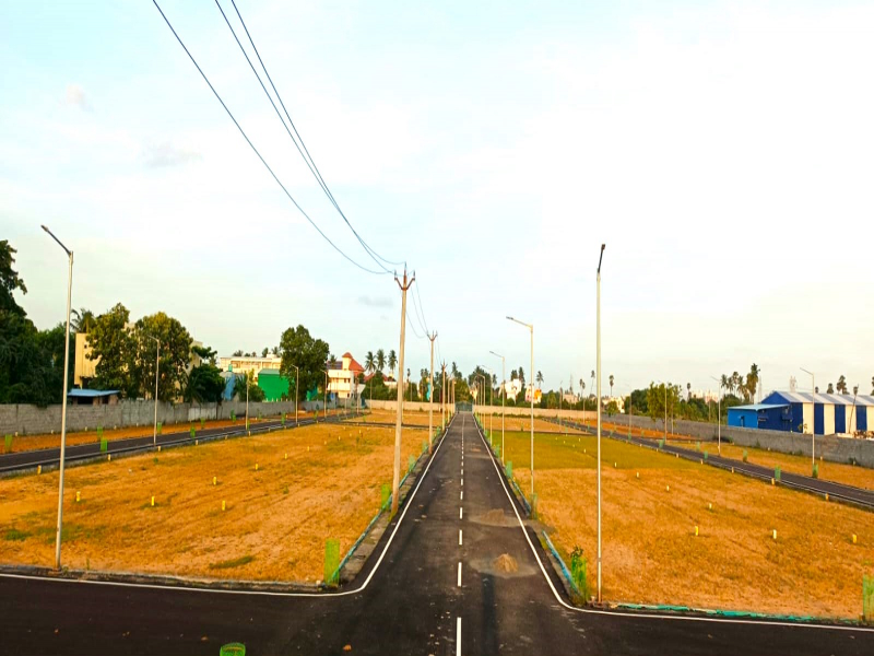 Chaitanya Avenue