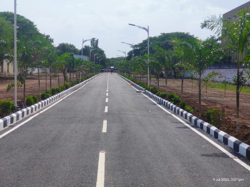 G Square Northern Crown