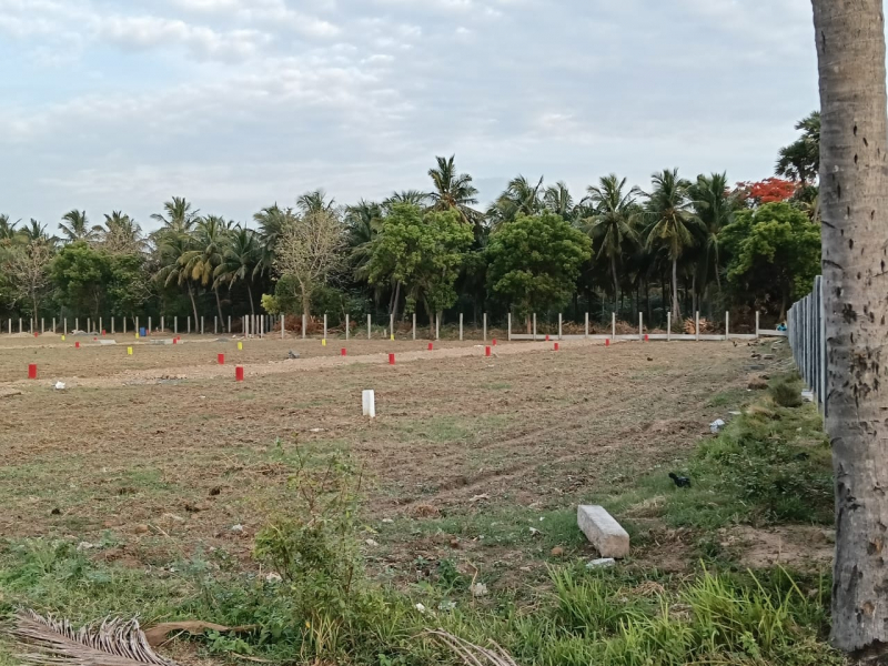 Vista Balaji Nagar