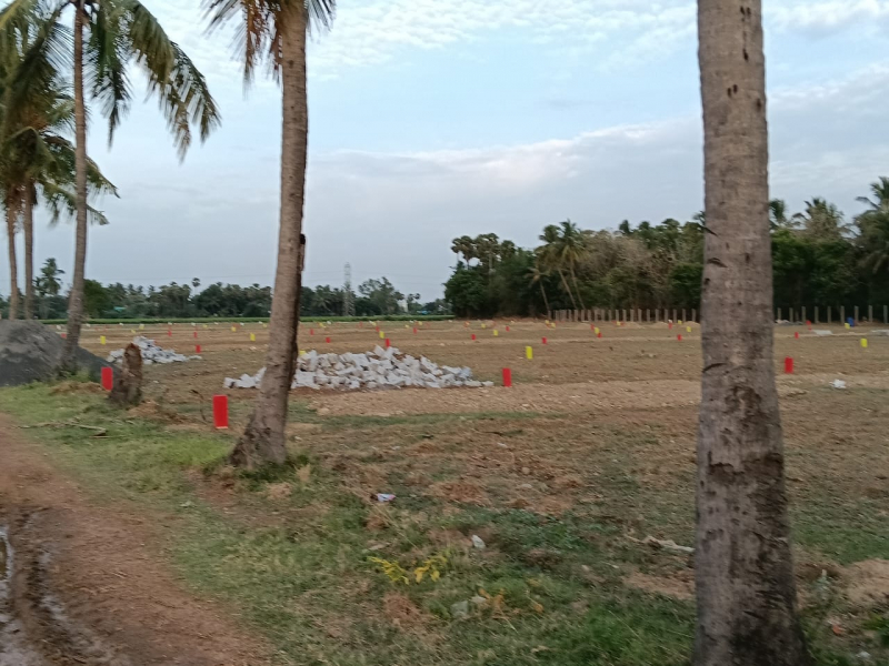 Vista Balaji Nagar