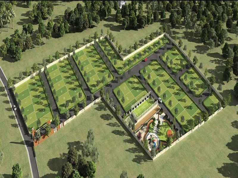 Felixa Silver Springs