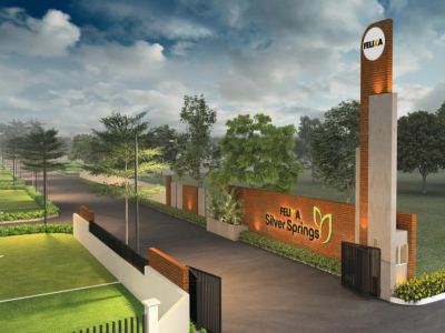 Felixa Silver Springs