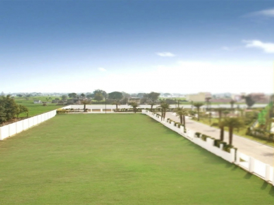 Urban Tree Onyx Enclave