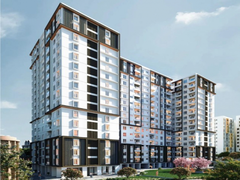 S and P New Haven Ribbon Walk