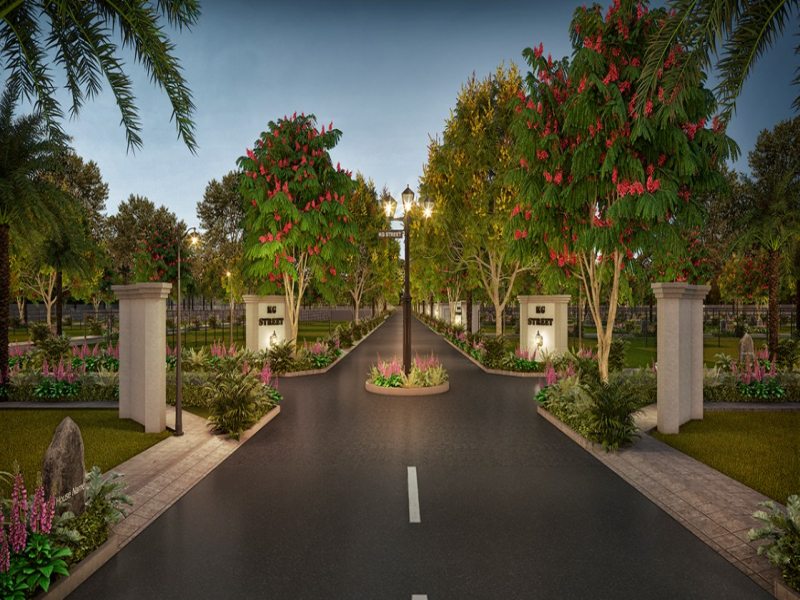 KG Fields Of Fortune