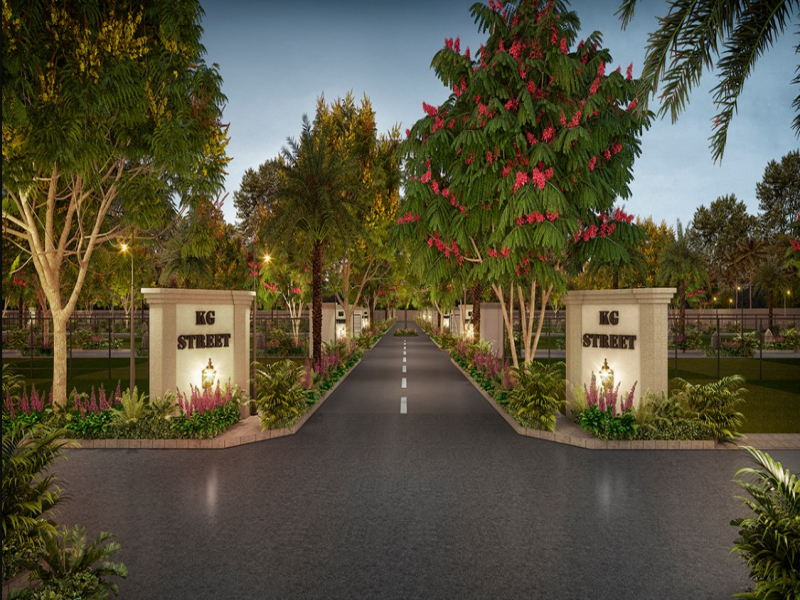 KG Fields Of Fortune