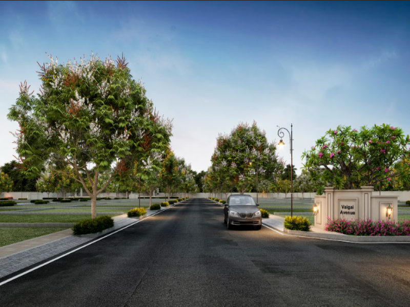 KG Kingdom Of Prosperity