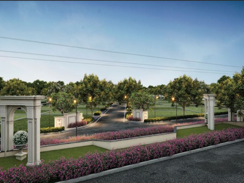 KG Kingdom Of Prosperity