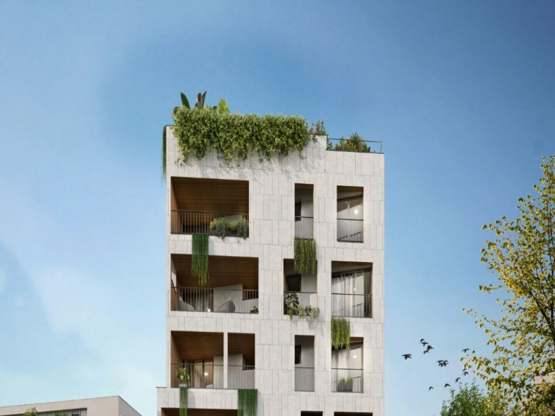 Sanctuary Krishnamma