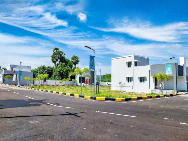 MCP Rainbow Garden