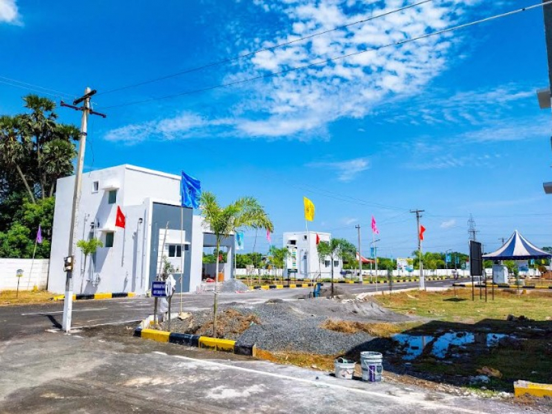MCP Rainbow Garden