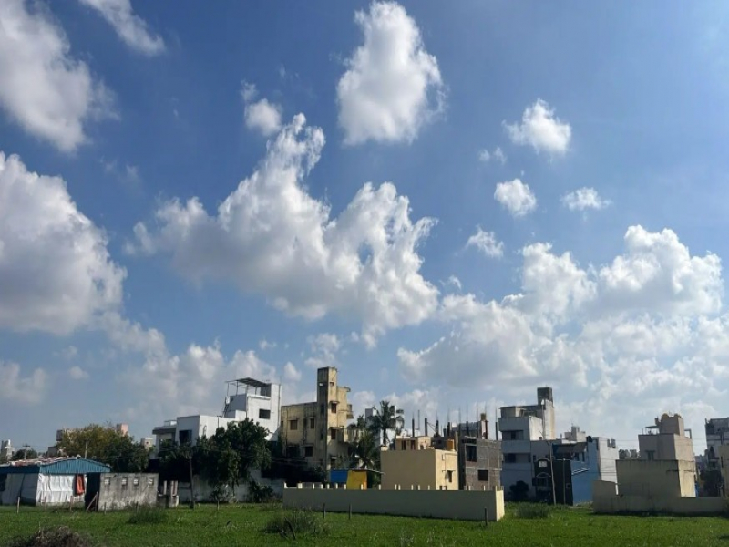 Rathis Chinthamani Garden