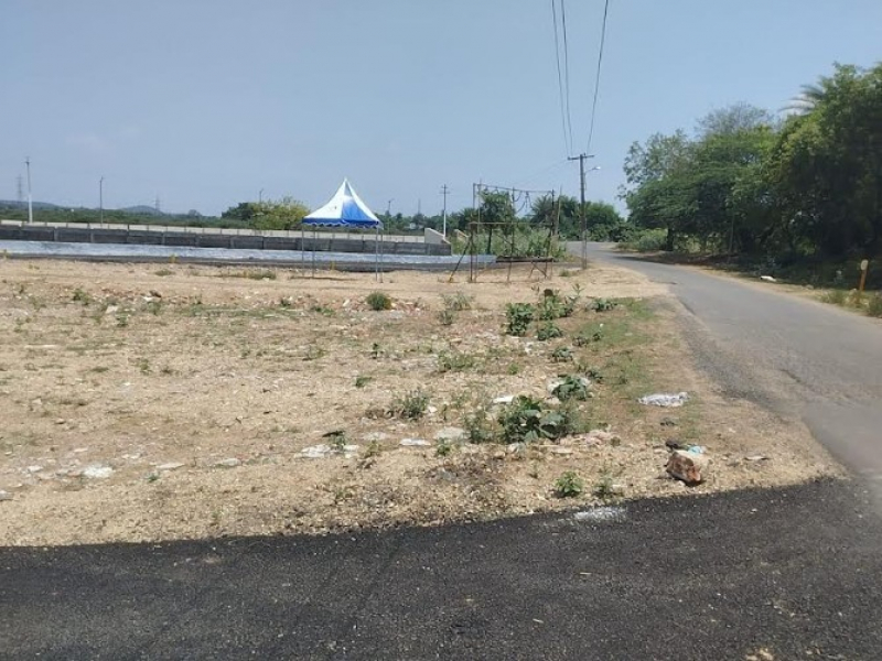 Krishna Avenue