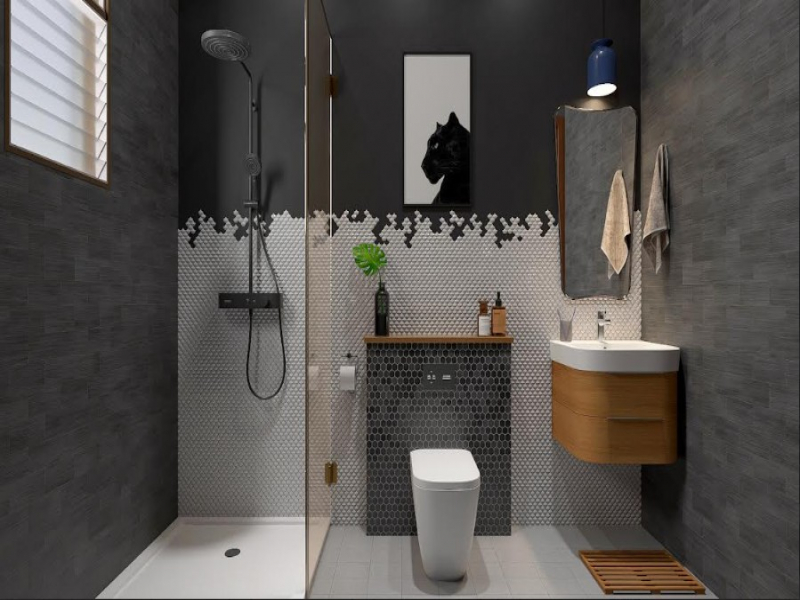 Jones Cassia Phase 8