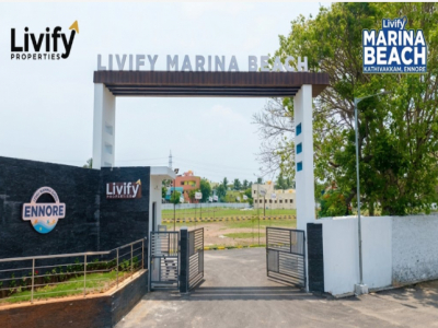 Livify Marina Beach