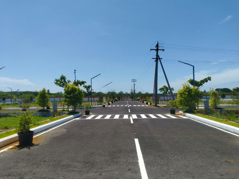 Nethra Orchard