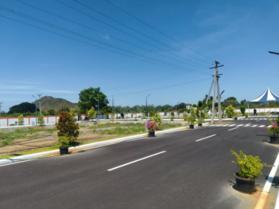 Nethra Orchard