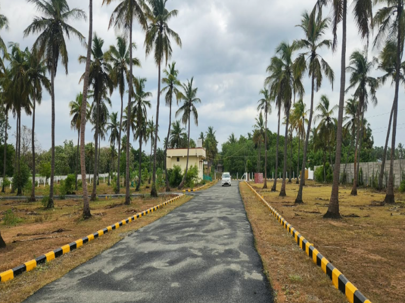 i5 Sai Garden