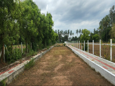 i5 Sai Garden