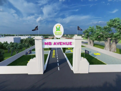 MG Avenue