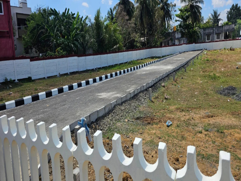 SSM Avenue