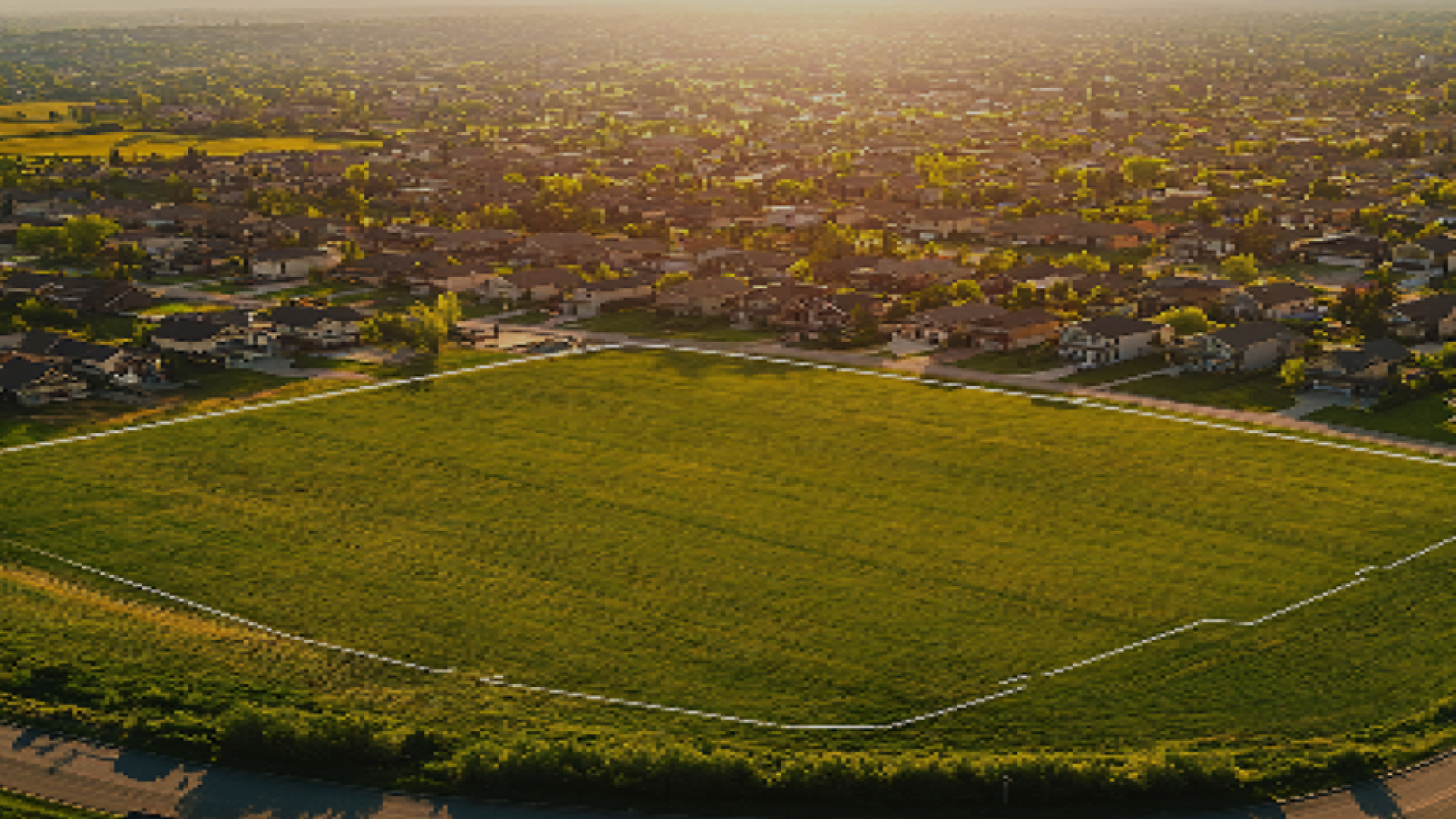 Petal Wing Meadows